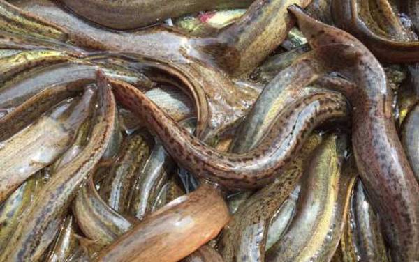 ������ʲô�㣿