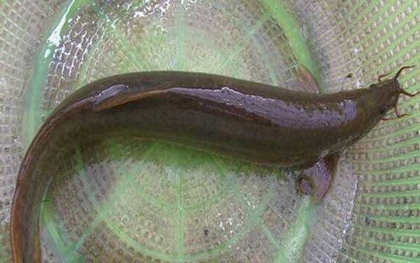 ������ʲô�㣿