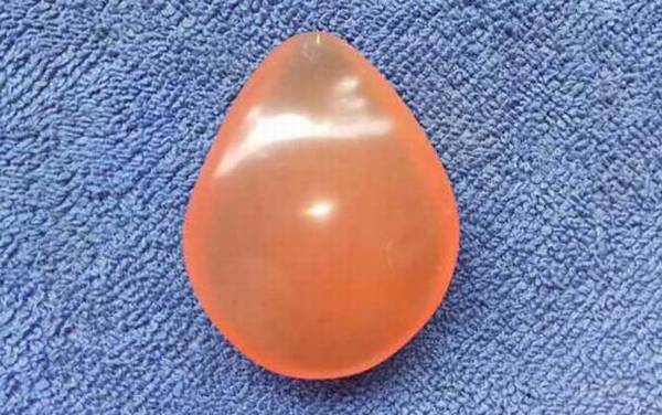 青鱼石是什么东西?