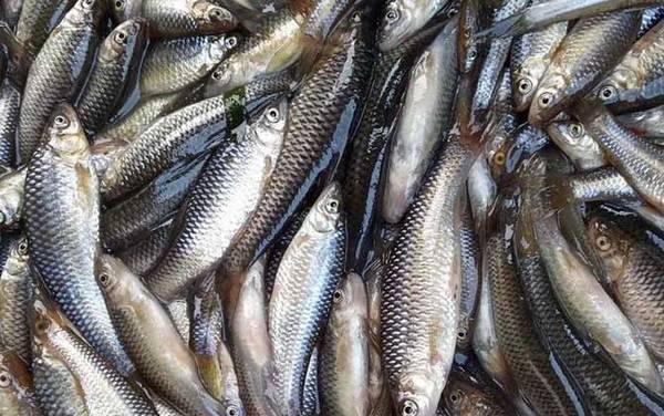 ������������������