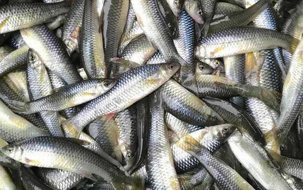 ������������������