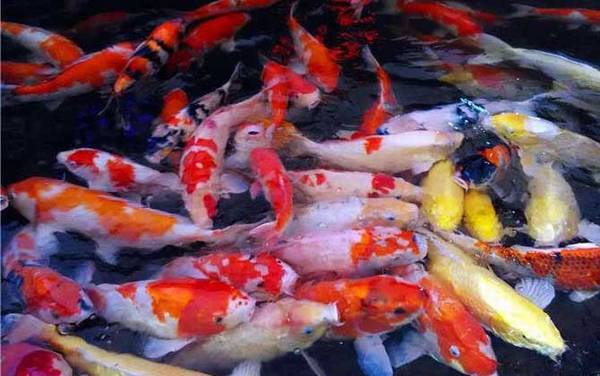 ������������