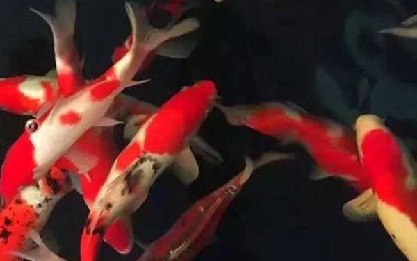 ������������