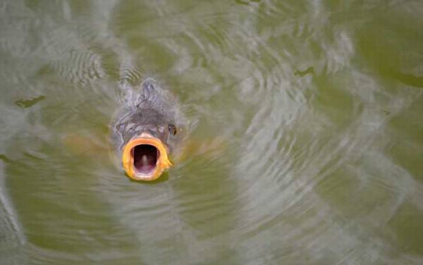 ���������ϰ�Լ��ص�