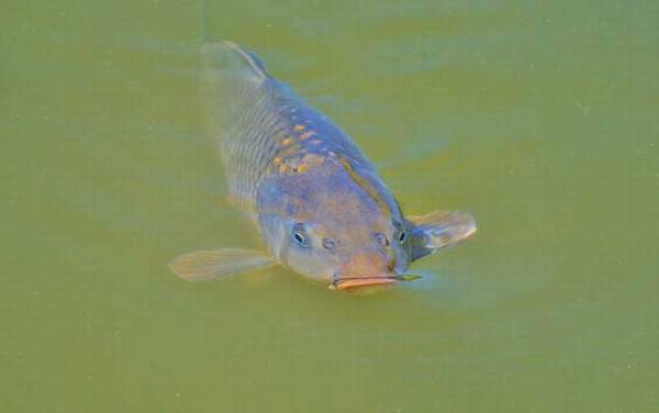 ���������ϰ�Լ��ص�