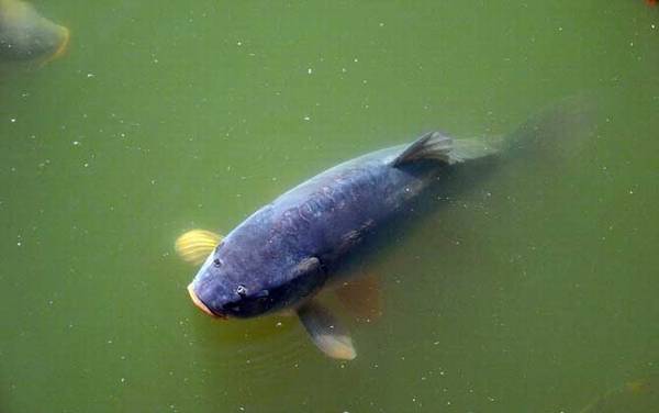 ���������ϰ�Լ��ص�