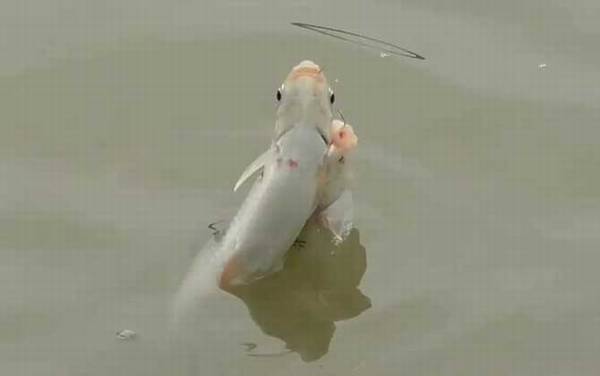 ����ʲôʱ�򿪿ڳԶ���