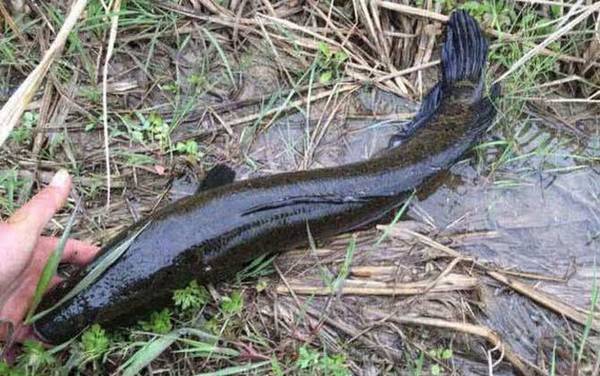 ������ֳ�������ܳ��ۣ�