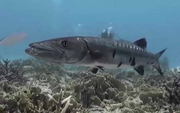 ������ʲô�㣿