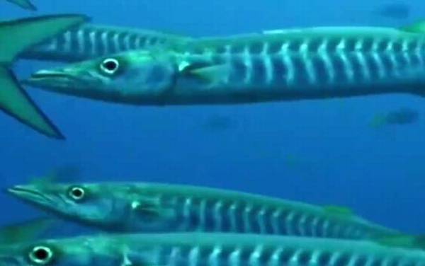 ������ʲô�㣿