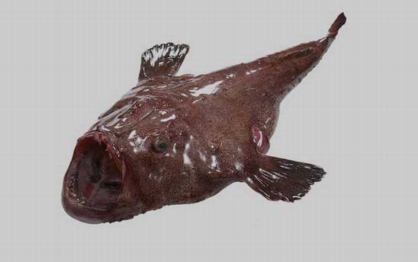 ��������ʲô�㣿