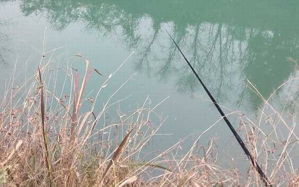 ������ʲôСҩ�ã�