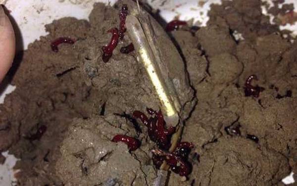 �����ʲô���׳棿