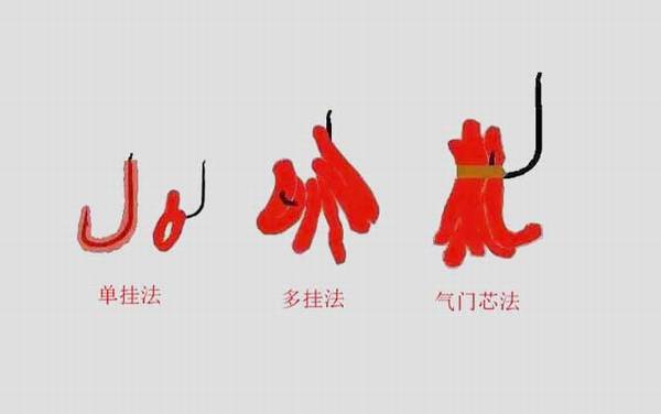 什么时候用红虫钓鱼最好?