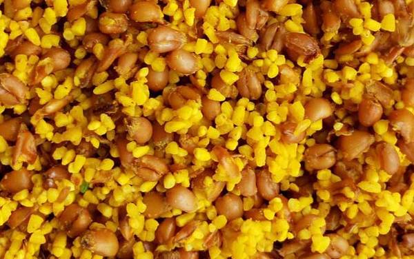 用什么打窝大鲫鱼最多?