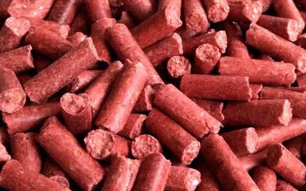 用什么打窝大鲫鱼最多?