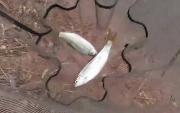 ��β�㰮��ʲô���ϣ�