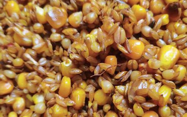 河里野钓用什么鱼饵?