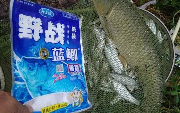 河里野钓用什么鱼饵?