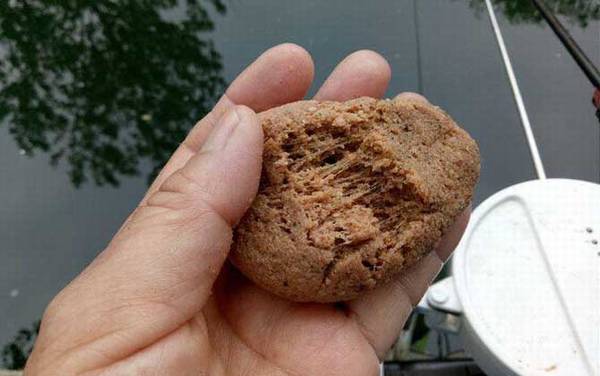 春季钓鱼用什么味型?