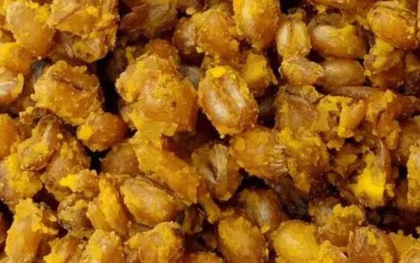 春季能用玉米钓鱼吗?