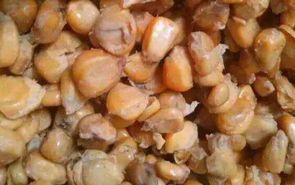 春季钓鱼用什么打窝最好?