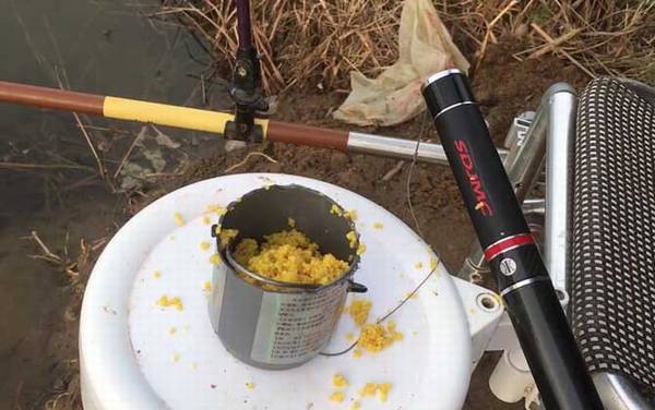 二月钓鱼用什么打窝好?