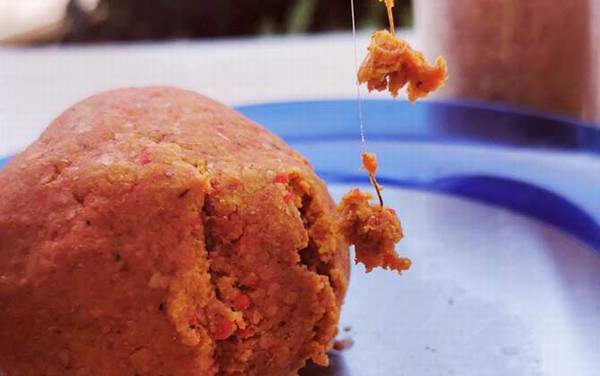 夏季钓鱼用什么饵料?