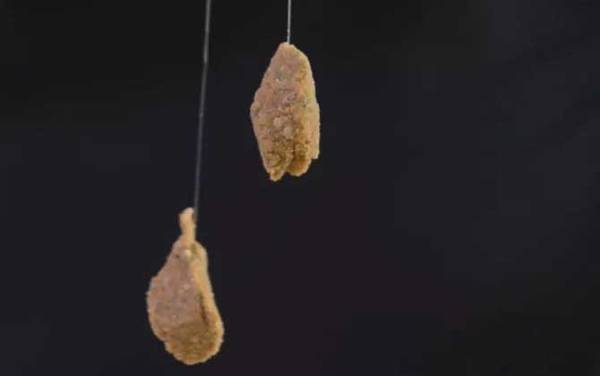 夏季钓鱼用腥味还是香味饵料?