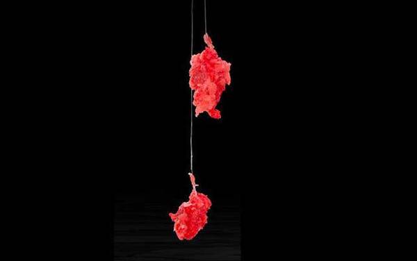 夏季钓鱼用腥味还是香味饵料?