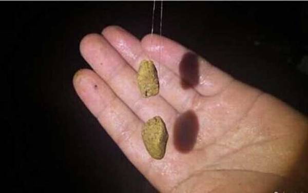 七月钓鱼用什么饵料最好?