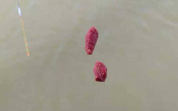 深秋钓鱼用什么味型饵料?