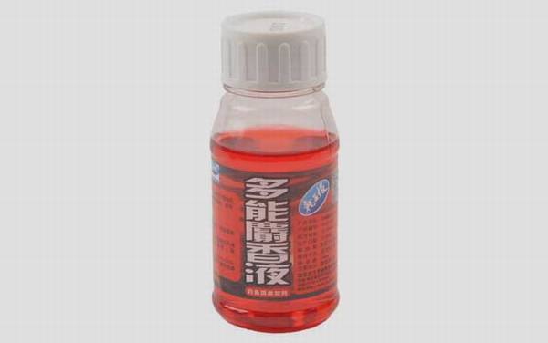 初冬钓鱼用什么小药好?