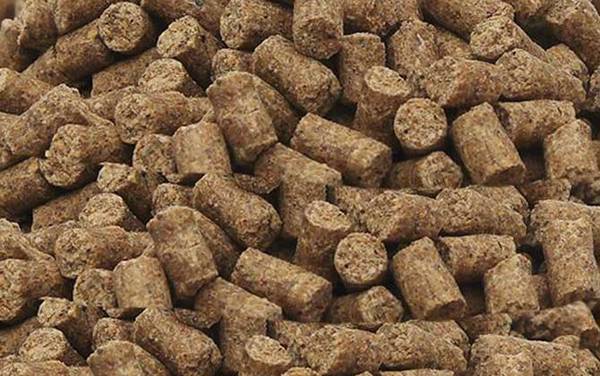 冬季钓鱼打窝用什么窝料最好?