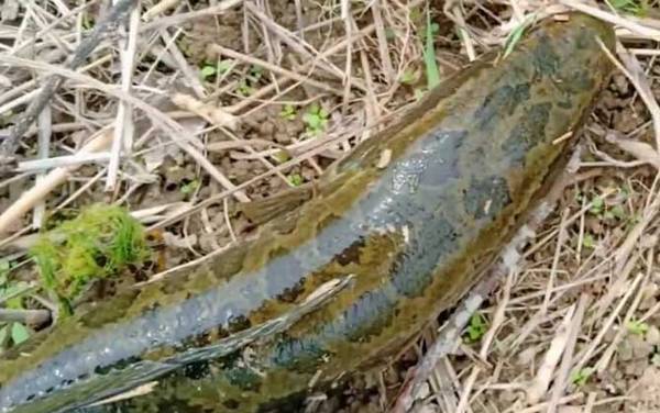 ��������ʲô���ѣ�