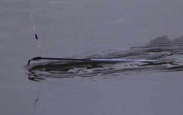 冬季钓鱼可以用麦子钓吗?