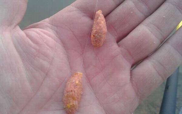 十一月钓鱼用什么饵料?