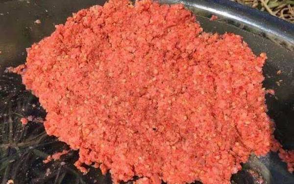 十一月钓鱼用什么饵料?