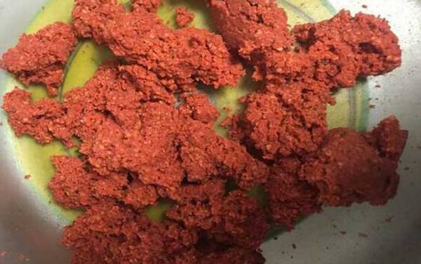 十一月钓鱼用什么饵料?