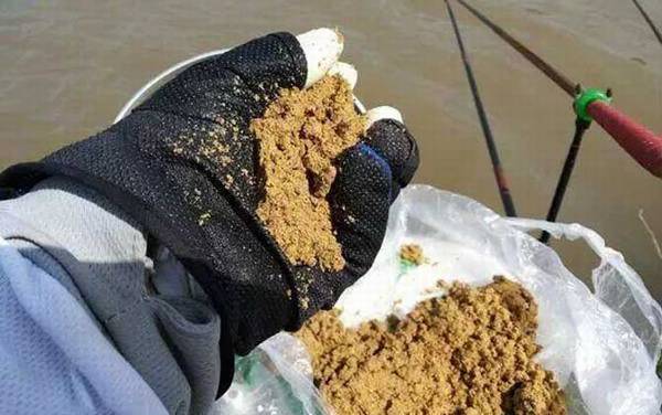十一月钓鱼用香饵还是腥饵?