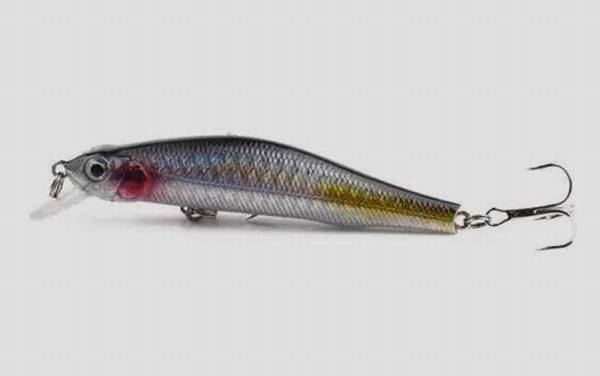 路亚鳡鱼用什么假饵?