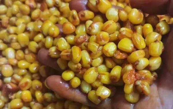 最简单的窝料制作方法和配方