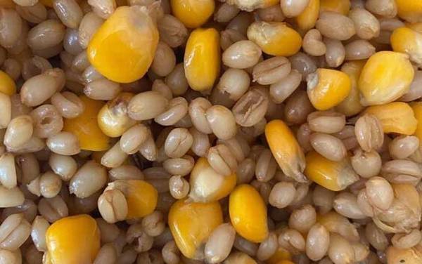 在家怎样配钓鱼打窝料?