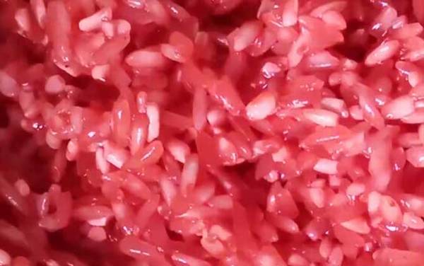 钓鱼酒米是什么东西?