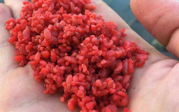 酒米打窝用什么饵料钓鱼?