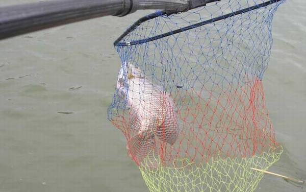 ���޷�����ʲô������ã�