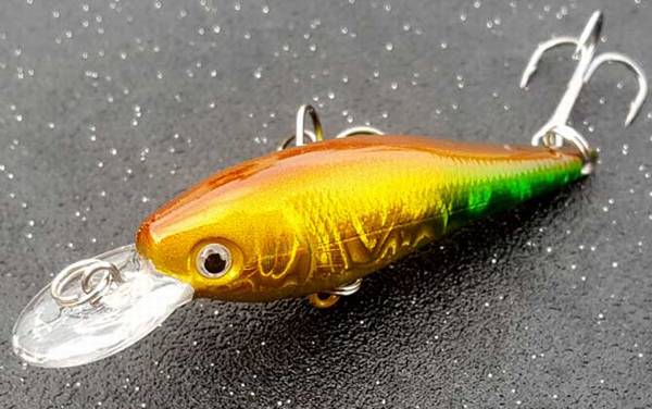 钓鲈鱼的最佳假饵是什么?