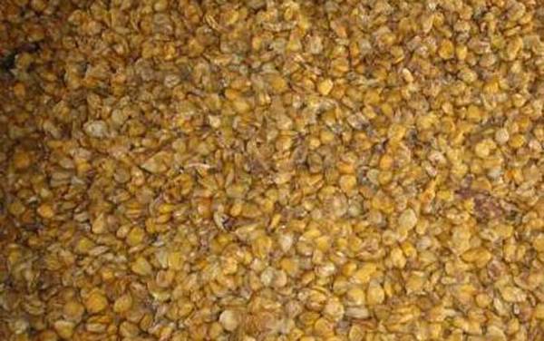 钓鲤鱼用什么打窝料最好?