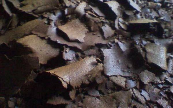 钓鲤鱼用什么打窝料最好?