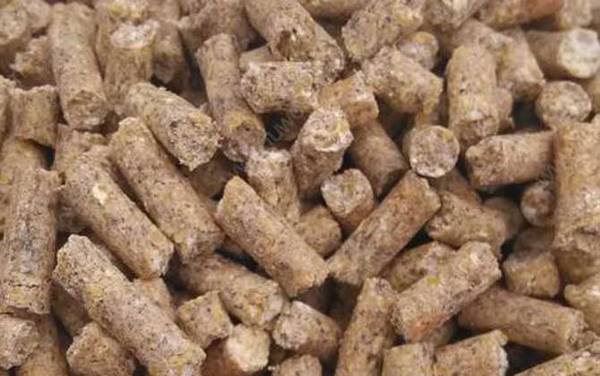 钓鲤鱼用什么打窝料最好?